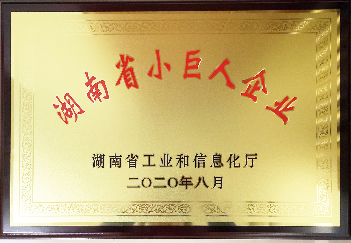 2020年湖南省幼巨人企业奖牌.jpg